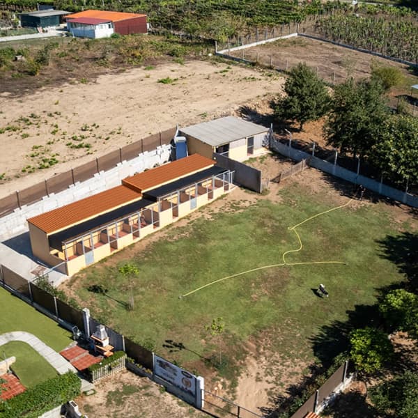 Residencia canina