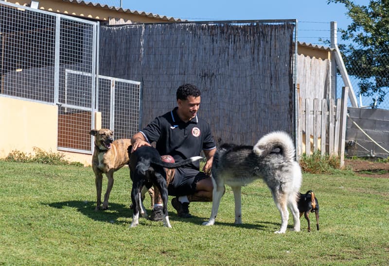 Galería de fotos de Gardacan, hotel canino en Ourense