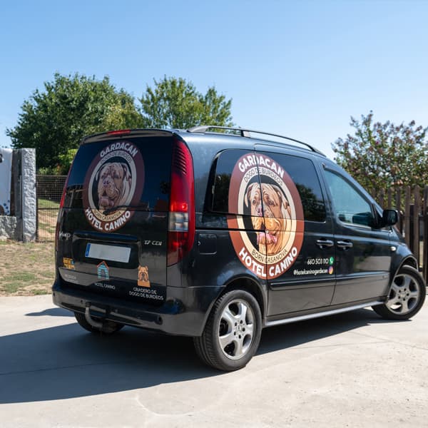 Conoce Gardacan: tu centro canino en Ourense